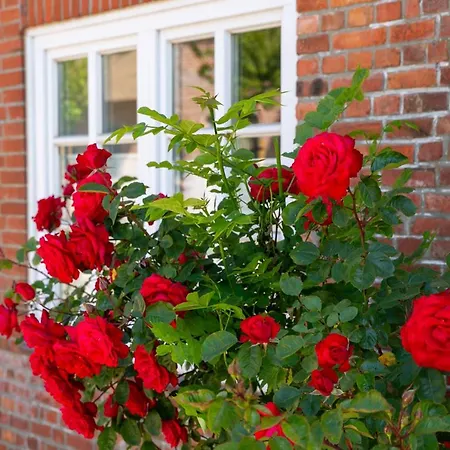 Töwerland * Oevenum